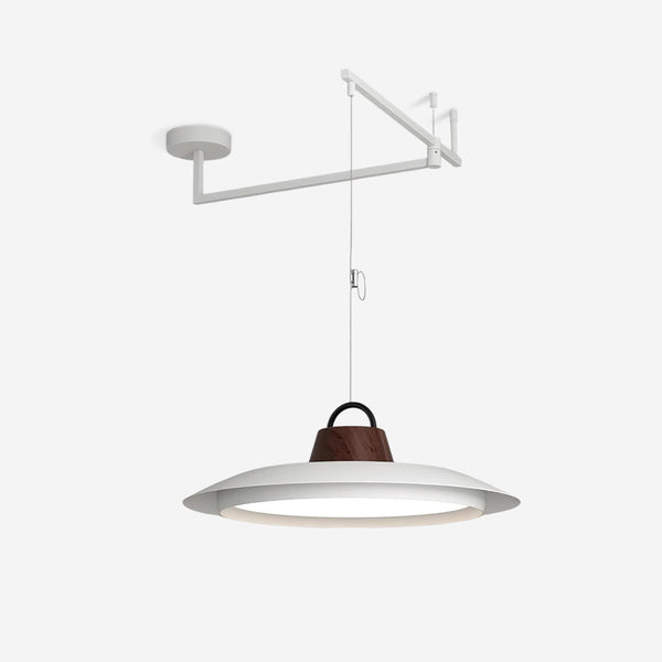 Elaisenne Swing Arm Pendant Lamp