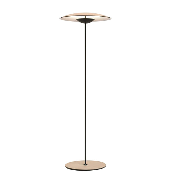 Ferinira Aluminum Minimalist Floor Lamp