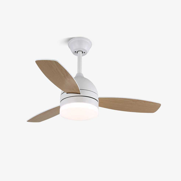 Breeze Minimal Ceiling Fan Light