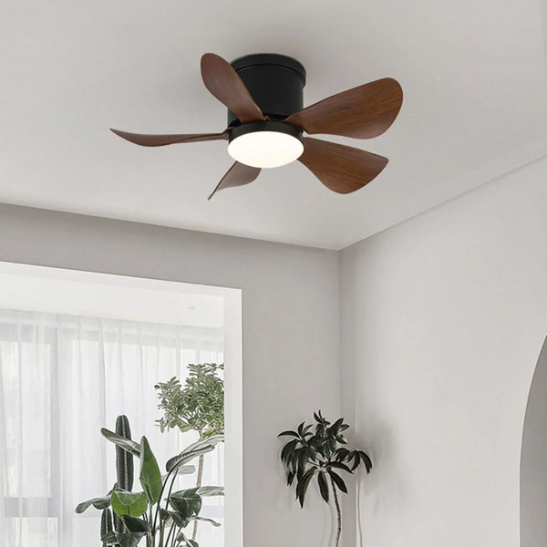Mini Black Ceiling Fan Light