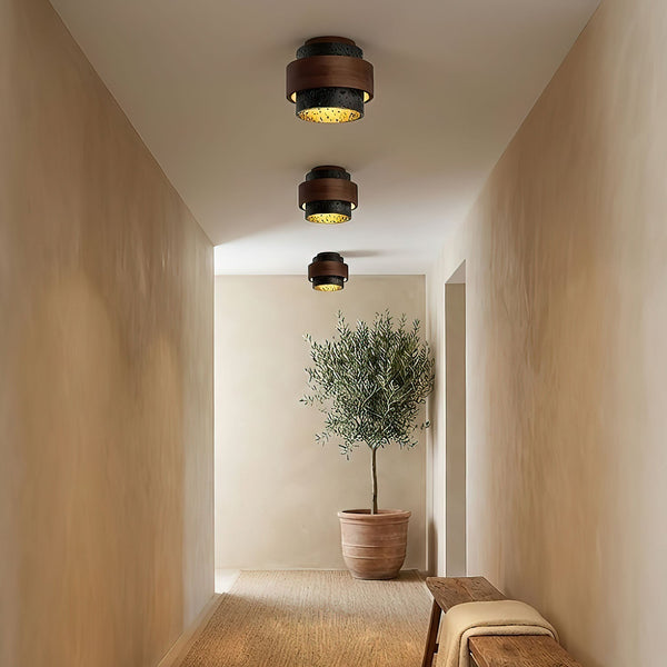 Ebony Ceiling Light