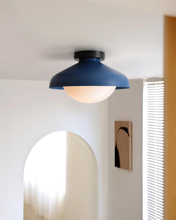Teriaaya Ceiling Lamp
