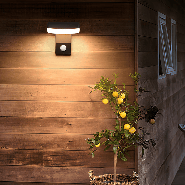 Godly Rotatable Motion Sensor Outdoor Wall Light