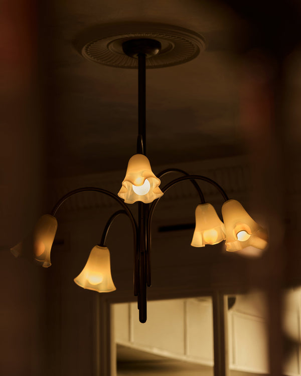 Aurmiros Brass Glass Chandelier