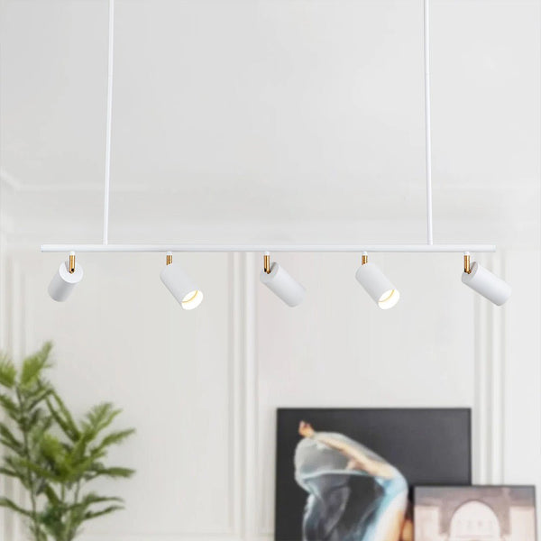 Modern Linear Track Light