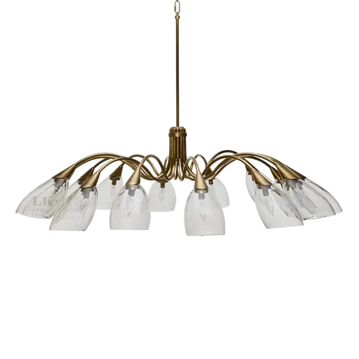 Brass Branch Chandelier | Glass Shades | CLAS720