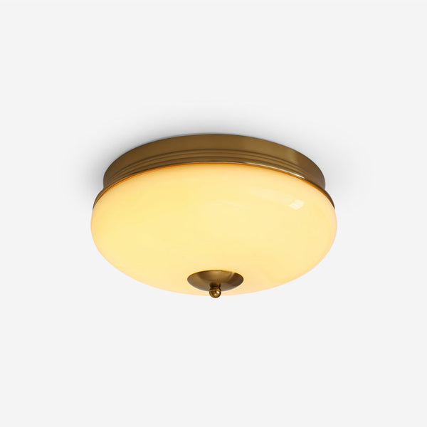 Elairine Ceiling Light