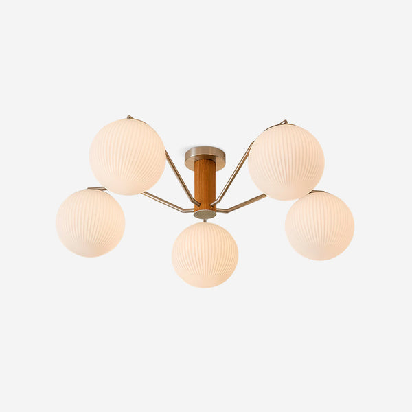 Ceiling Light LED/Incandescent Globe Flush Mount for Living Room